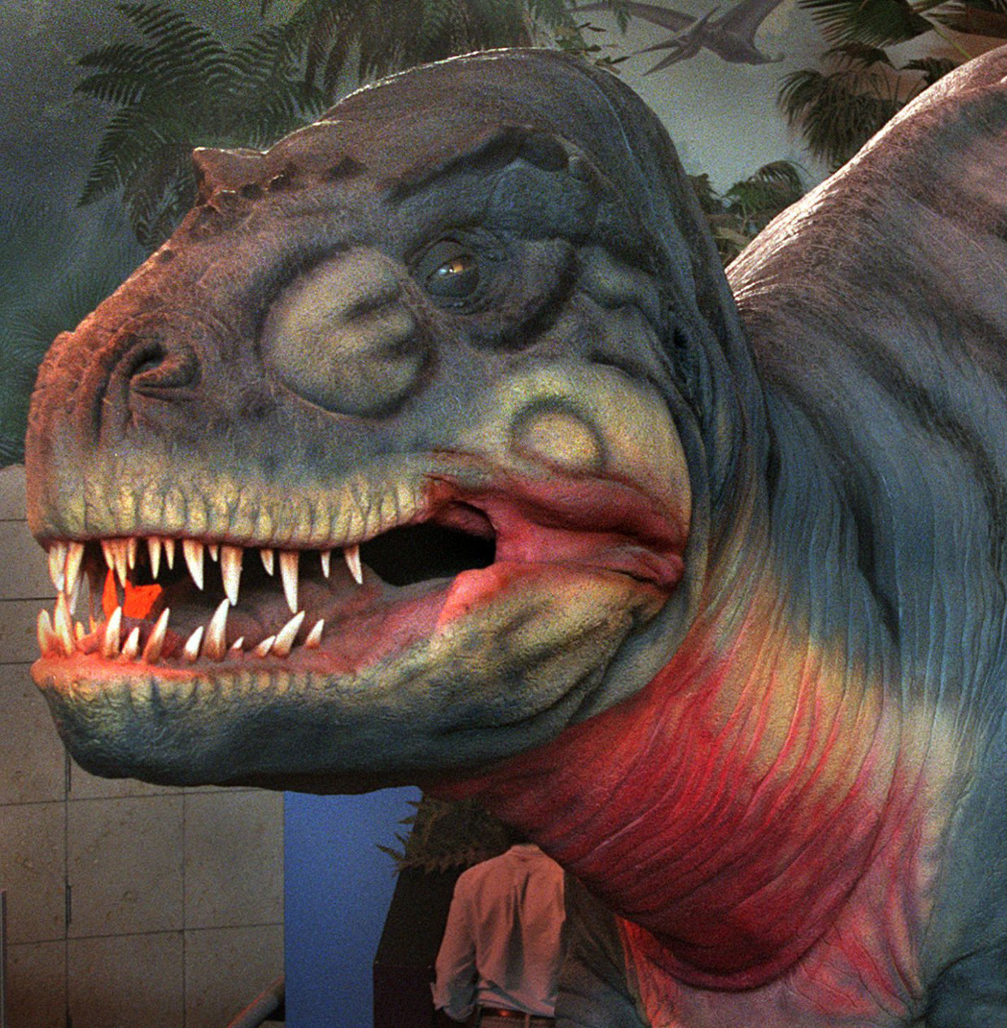 CD RC DINOCLEAN